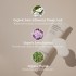 The Therapy Vegan Moisturizing Sun Serum SPF50+ PA++++ 50ml - Skin Care Sunscreen, No Whitecast weightless