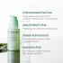 Tea Tree Pore Ampoule